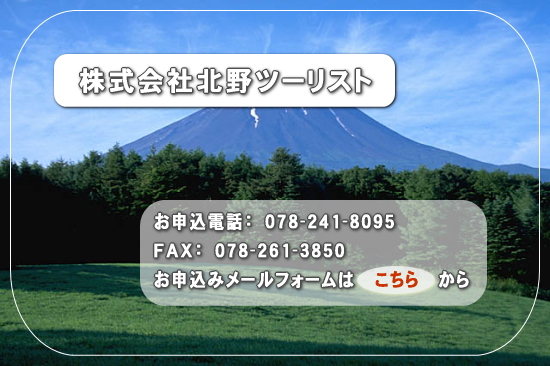 \[tH[͂炩